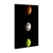 Stupell Industries Sports Balls Spotlight Canvas, design by Jesse Keith